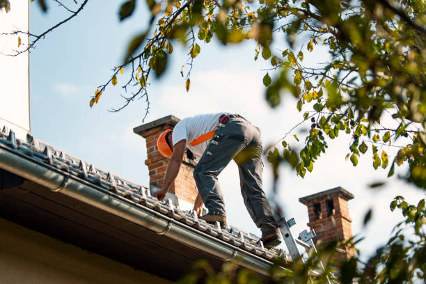 Best Storm Damage Roof Repair  in Borden, IN