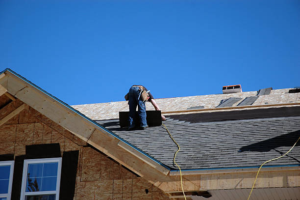 Best Roof Leak Repair  in Borden, IN